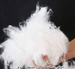 مجموعه کوسن عروسکی با طرح های انیمه شیطان کش demon slayer - Image 20