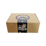 شانسی میستری باکس مدل لابوبو لبوبو - Image 2