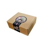 شانسی میستری باکس مدل لابوبو لبوبو - Image 4