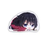 مجموعه کوسن عروسکی با طرح های انیمه شیطان کش demon slayer - Image 9